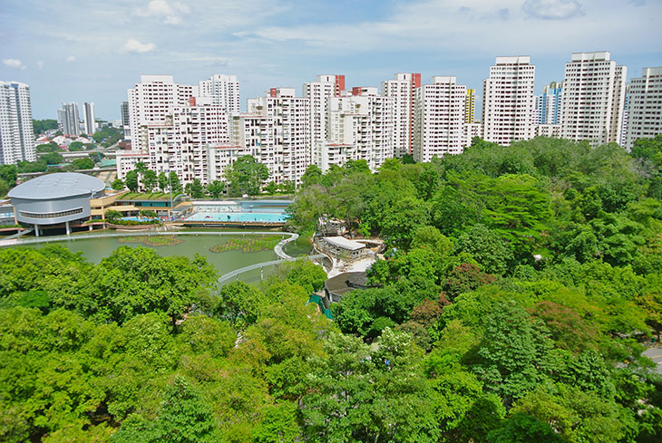 BukitPanjangPark1